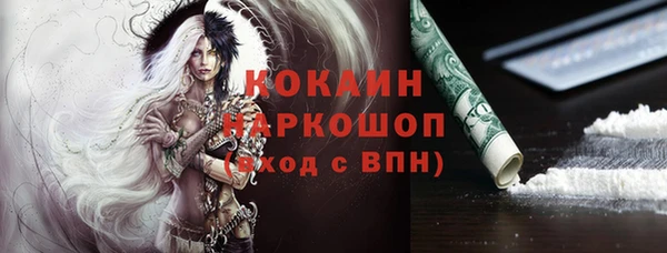 шишки Алексин