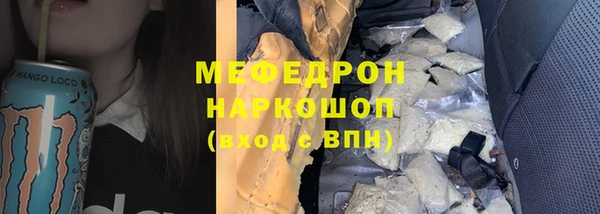 индика Няндома