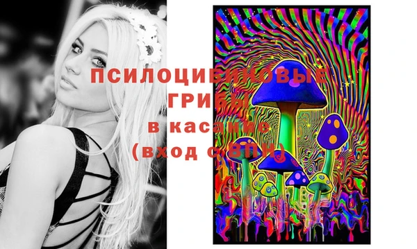 шишки Алексин