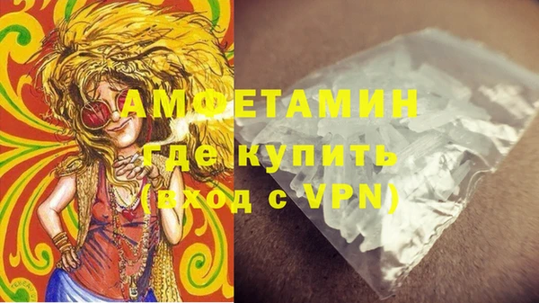 индика Няндома