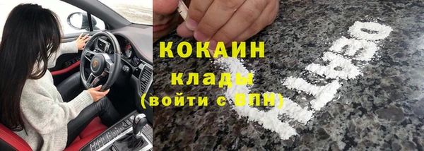 шишки Алексин