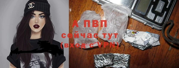 шишки Алексин