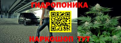 стаф Пушкино